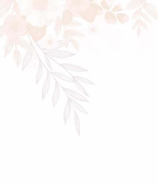 shape